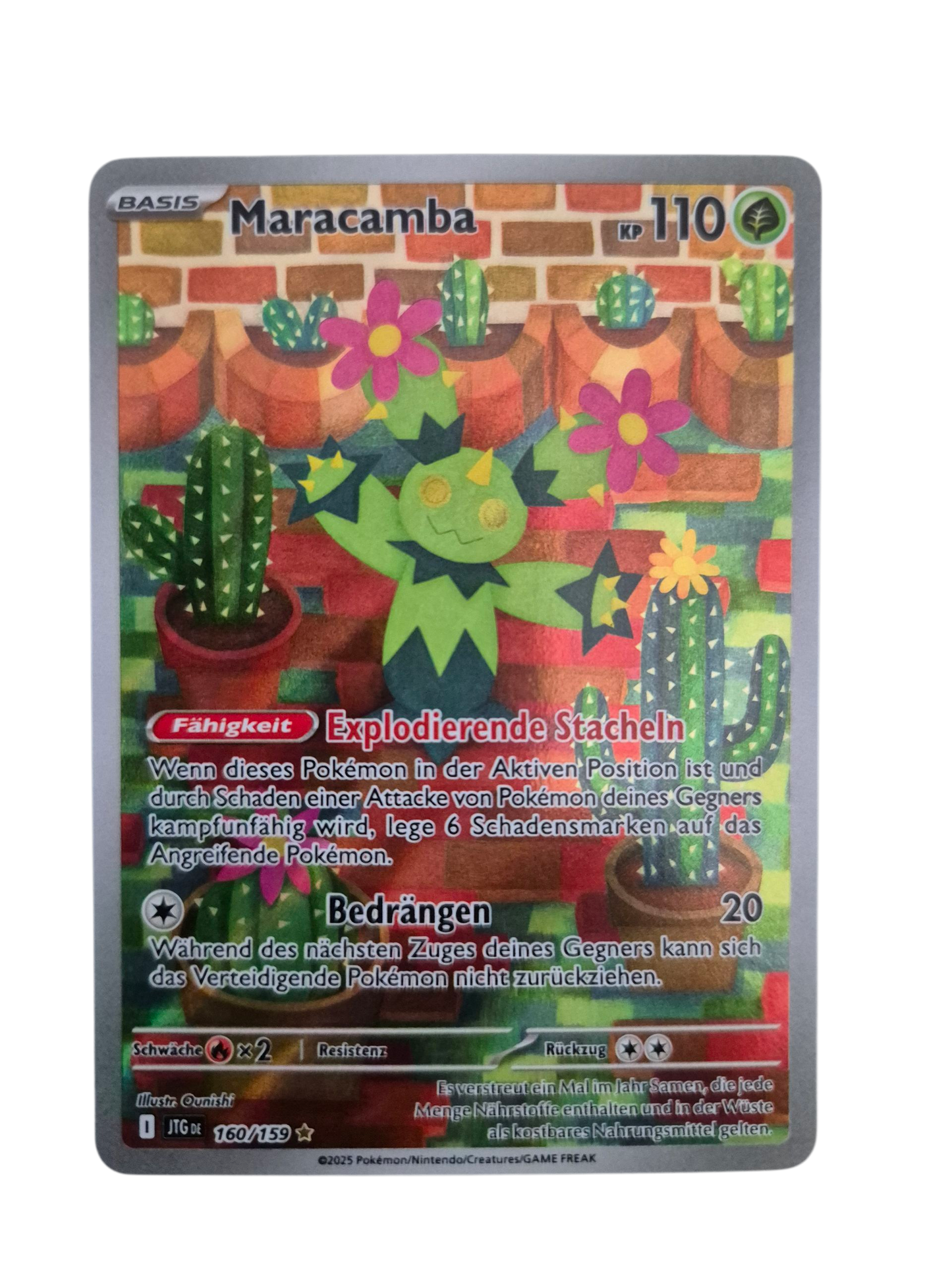 Maracamba (Illustration Rare, Reisegefährten) 160/159